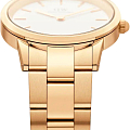 Часы Daniel Wellington Iconic Link DW00100565 фото 6
