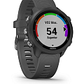 Часы Garmin Forerunner 245 010-02120-10 фото 9