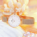 Часы Daniel Wellington Petite Lumine Pressed Melrose DW00100528 фото 6