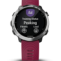 Часы Garmin Forerunner 645 Music 010-01863-31 фото 7