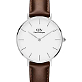 Часы Daniel Wellington Petite Bristol DW00100183