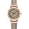 Часы Anne Klein Daily  2246RGTP