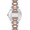 Часы Anne Klein Metals 4167WTRT фото 2