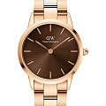 Часы Daniel Wellington Iconic Link Amber DW00100461